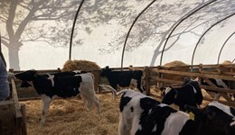 Dairy Research Roadshow - Cornwall